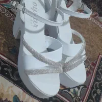 کفش مجلسی|کیف، کفش، کمربند|قم, شهر قائم|دیوار