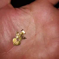 جواهرات طلا