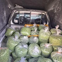 سبزی خردکنی،لوبیاسبز،هویج ،بادمجان کباب و سرخ،کرفس|خوردنی و آشامیدنی|تهران, تهرانسر شرقی|دیوار
