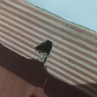 میز|میز تحریر و کامپیوتر|مشهد, جاهد شهر|دیوار