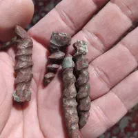 مهره تضمینی|جواهرات|بندر ماهشهر, |دیوار