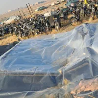 فروش ماشین|خودرو سواری و وانت|ملکان, |دیوار