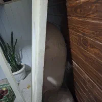 روشویی سنگی مرمر سفید صدفی|لوازم سرویس بهداشتی|چهارباغ, |دیوار