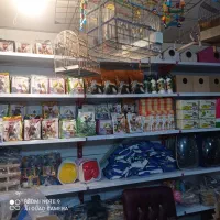 ملزومات عروس هلند|عمده‌فروشی|ایلام, |دیوار