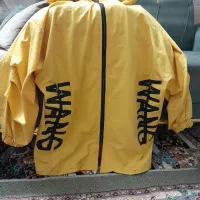 بارونی