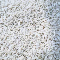 برنج و حبوبات محلی|عمده‌فروشی|دورود, |دیوار