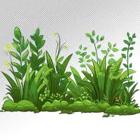 وایتکس گیاهی بدون آسیب به ریه و پوست