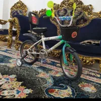 دوچرخه ۱۶ سبز درحد