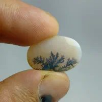 ۳عدد شجر پیاده زیبا|جواهرات|زنجان, |دیوار