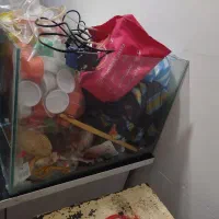 اکواریوم سالم
