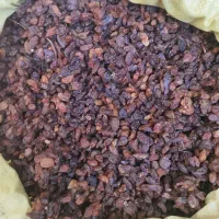 کشمش افتابی