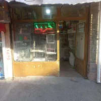 پرنده سرای بیزیم قناری در سیلاب قوشخانه|پرنده|تبریز, |دیوار