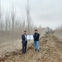 باغ صنوبر، کارخانه پول‌سازی شما در آینده نزدیک|خدمات باغبانی و درختکاری|اردبیل, |دیوار