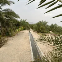 نیازمند نیروی نظافتی ساعتی
