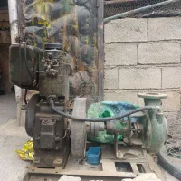 متور آب مارگو سالم وسرحال