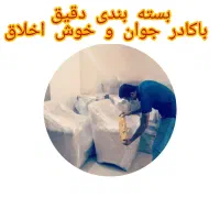 کارگر جابه جایی اثاثیه منزل (جوان و خوش اخلاق)|خدمات حمل و نقل|تبریز, |دیوار