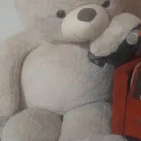 عروسک خرسی شاسخین