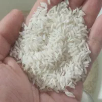 فروش برنج هاشمی