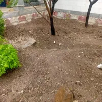 باغبان صوفیان