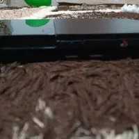 ps2