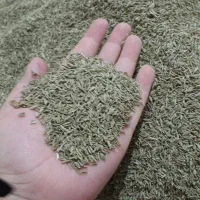 زیره سبز محلی تمیز ۴۵۰  روستای فروان