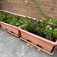 فلاورباکس بزرگ|گل و گیاه طبیعی|تهران, قلهک|دیوار