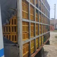 ایویکو مرغی