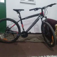 دوچرخه راپیدو روغنی