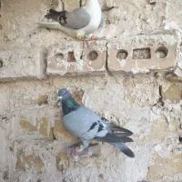اسباب بازی