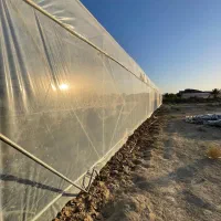 فروش گلخانه همراه با زمین و آب|اجارهٔ دفتر صنعتی، کشاورزی، تجاری|سراوان, |دیوار