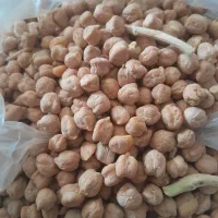 نخود|خوردنی و آشامیدنی|کوهدشت, |دیوار