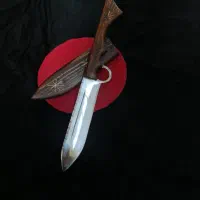 قناری گلاستر.چاقو|پرنده|تهران, مسعودیه|دیوار