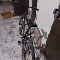 دوچرخه ویوا|دوچرخه، اسکیت، اسکوتر|شاهرود, |دیوار