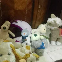 عروسک|اسباببازی|مشهد, چهارچشمه|دیوار