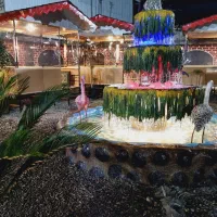 کافه کامارو