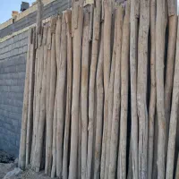 قالب و چوب کبوده