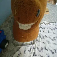 اسباب بازی در الهیه|اسباببازی|کرمانشاه, |دیوار