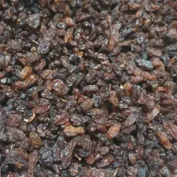 کشمش آفتابی کاشمر