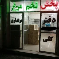 تخم مرغ روز بنکدری عمده فروشی