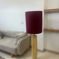 آباژور سالنی