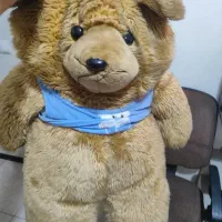 عروسک خرس