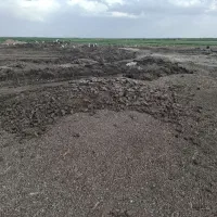 کود مرغی  قفسی تخم گذار