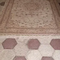 فرش ۶ متری|فرش|مشهد, امام رضا (ع)|دیوار