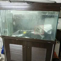 اکواریوم اب شور