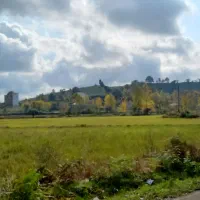 اجاره سوئیت