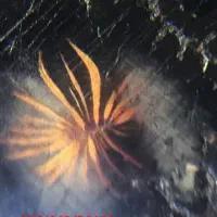 جیوه سنگ روحانی، الماس  ...