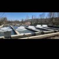 اجاره پرورش ماهی ۲۰ تنی|اجارهٔ دفتر صنعتی، کشاورزی، تجاری|بروجرد, |دیوار