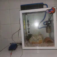 دو آکواریوم شیشه خم و معمولی