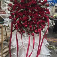 مرکز پخش گل رز ۲۰ تومان