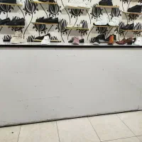 میز چوبی سه متری، استند چوبی کفش یا کیف..|فروشگاه و مغازه|فسا, |دیوار